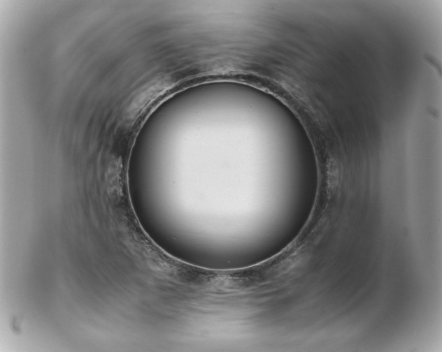 X0000103271265200808291232