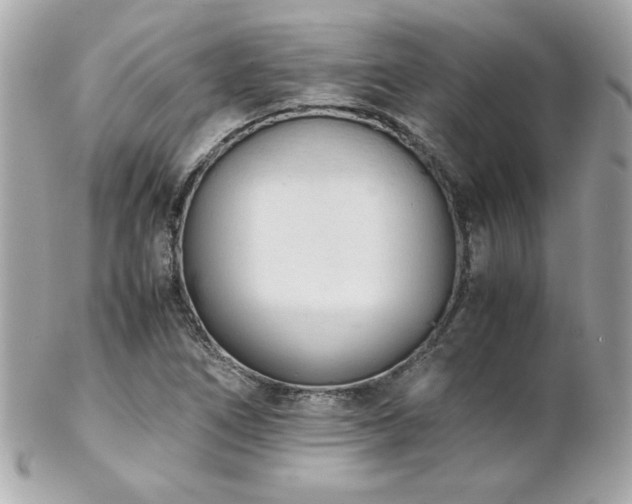 X0000103271266200808291232