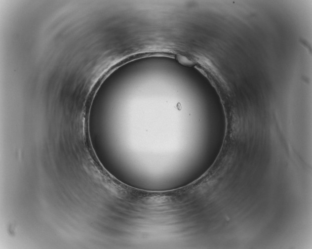 X0000103271268200808291232