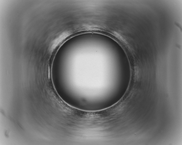 X0000103271269200808291232