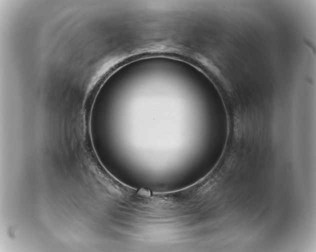 X0000103271270200808291232