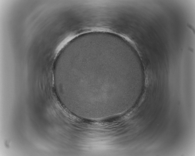 X0000103271271200808291232