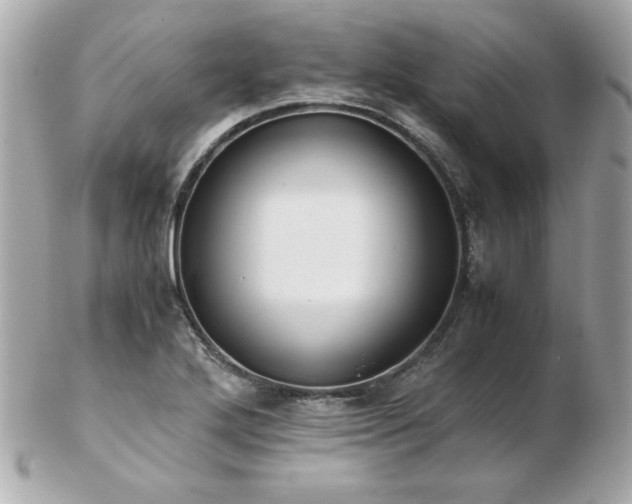 X0000103271272200808291232