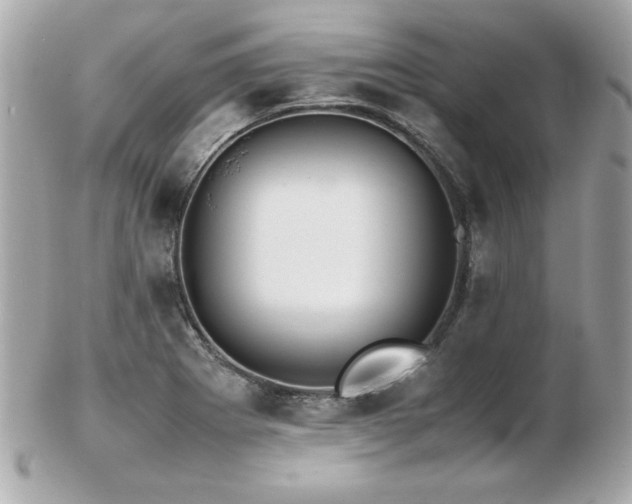 X0000103271273200808291232