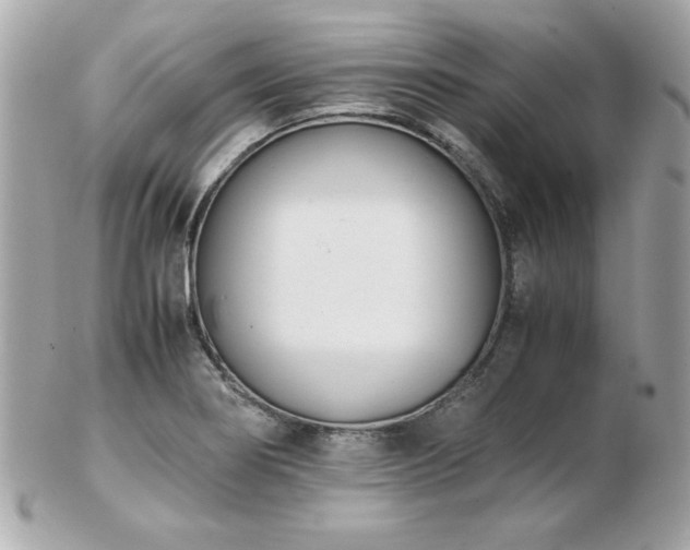 X0000103271274200808291232