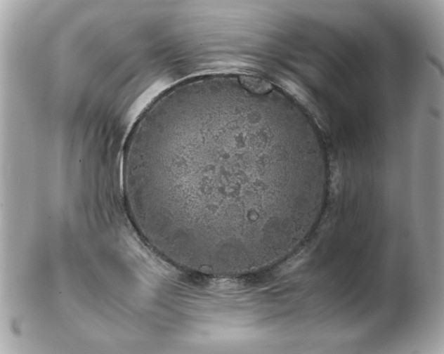 X0000103271275200808291232