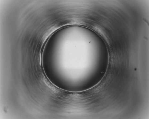 X0000103271276200808291232