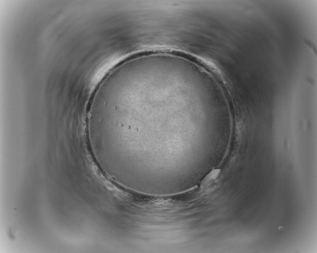 X0000103271279200808291232