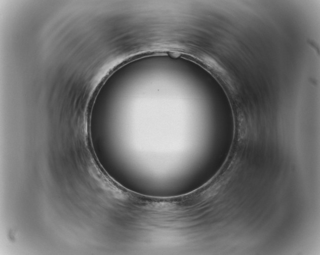 X0000103271280200808291232