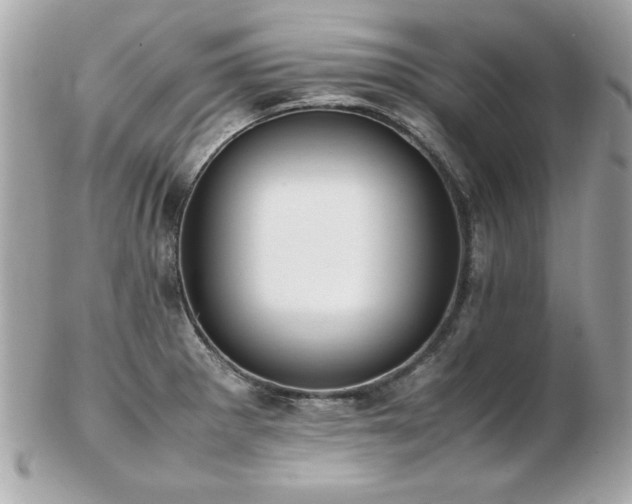 X0000103271281200808291232