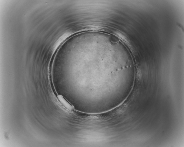 X0000103271283200808291231