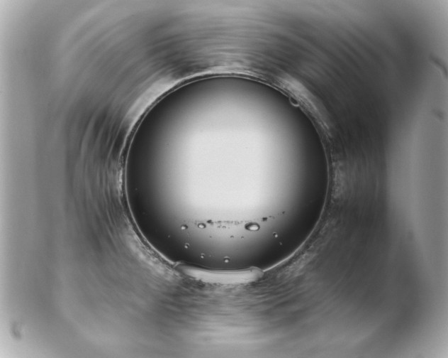 X0000103271284200808291231