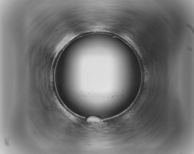 X0000103271285200808291231