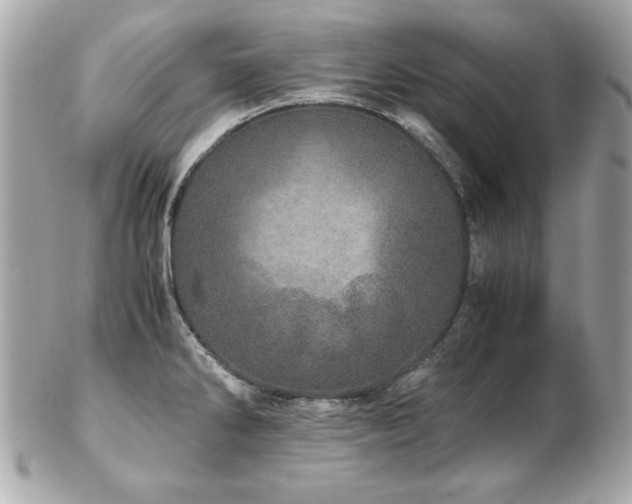 X0000103271286200808291231