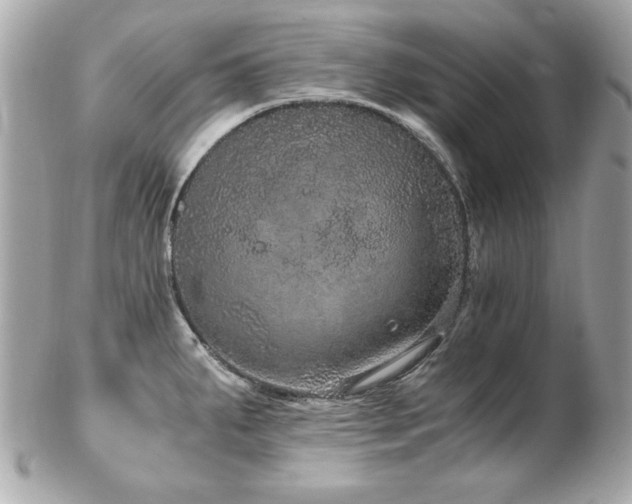 X0000103271287200808291231