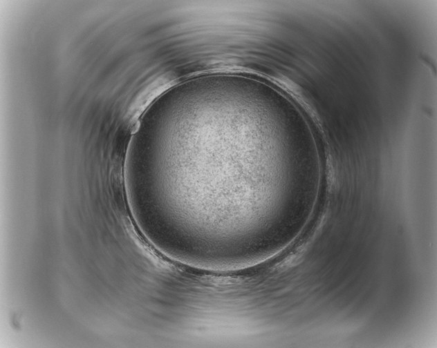 X0000103271289200808291231