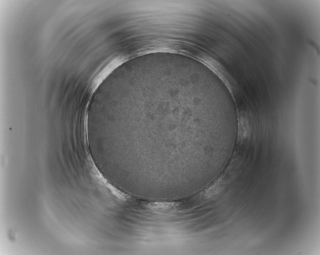 X0000103271290200808291231