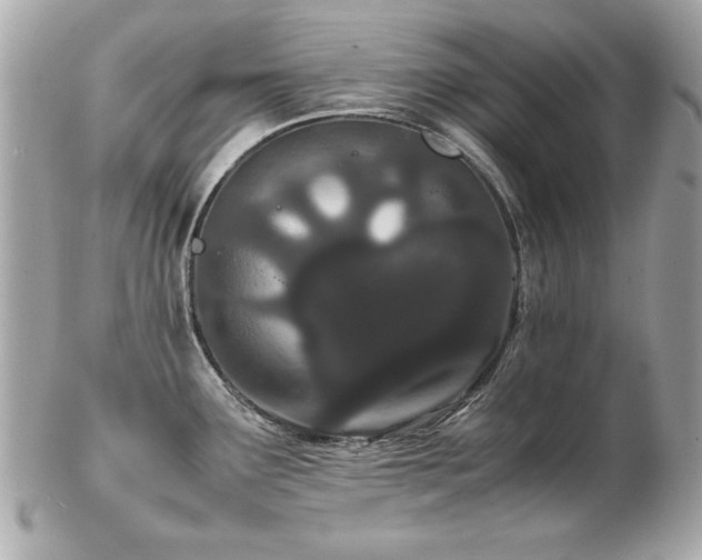 X0000103271291200808291231