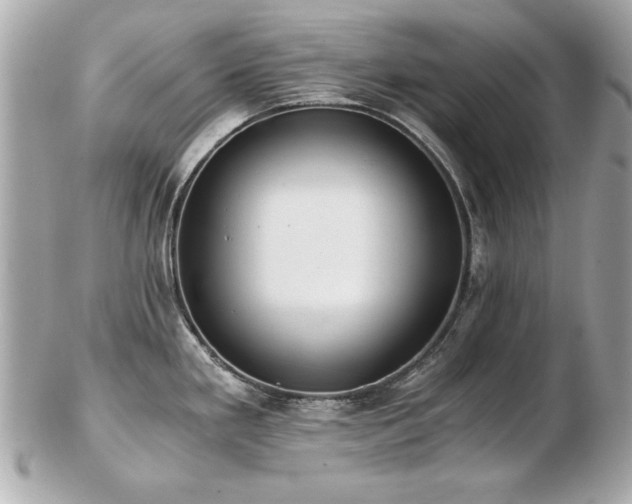 X0000103271293200808291231