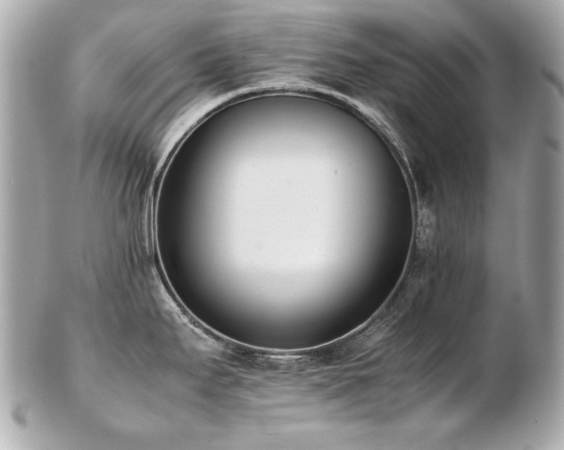 X0000103271295200808291231