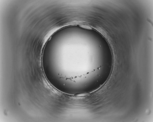 X0000103271296200808291231