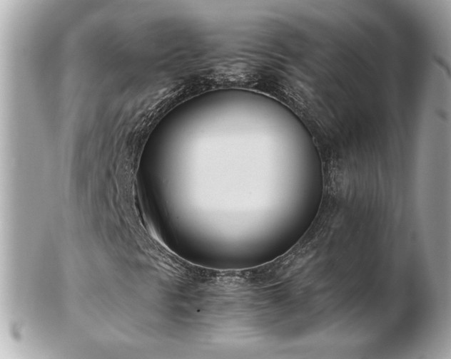 X0000103271297200808291231