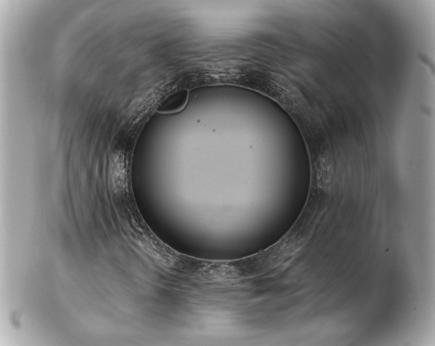 X0000103271298200808291231