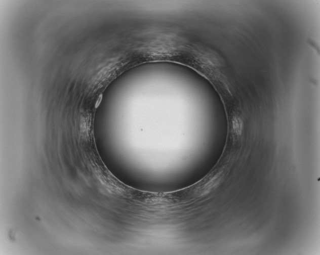 X0000103271300200808291231