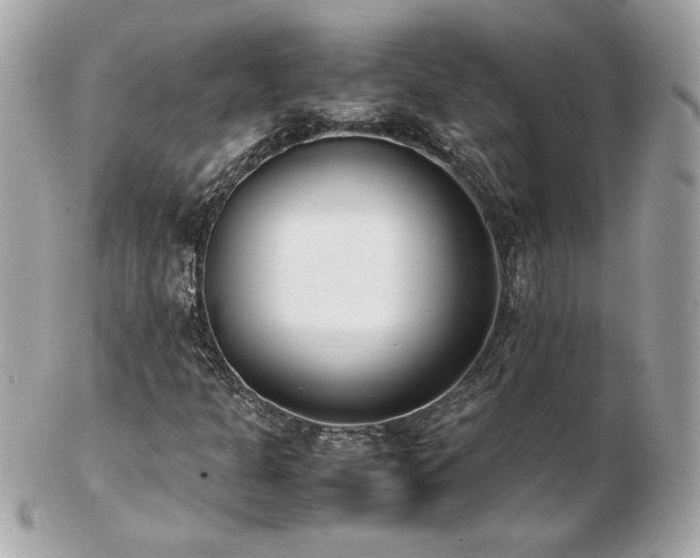 X0000103271301200808291231