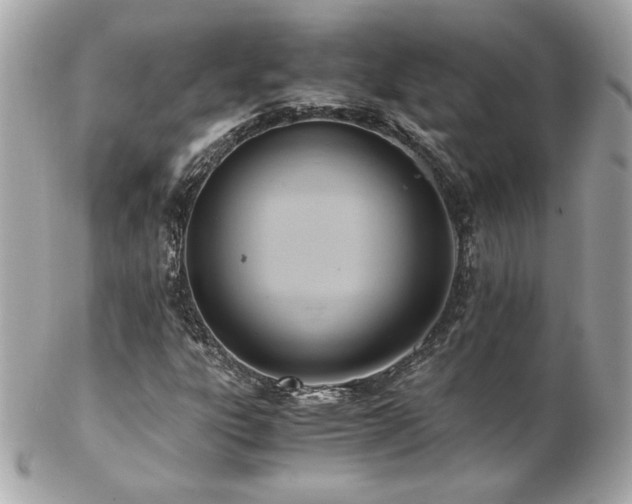 X0000103271303200808291231