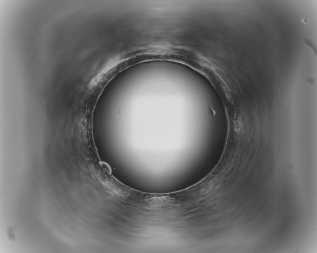 X0000103271304200808291231