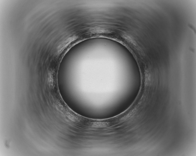 X0000103271305200808291231