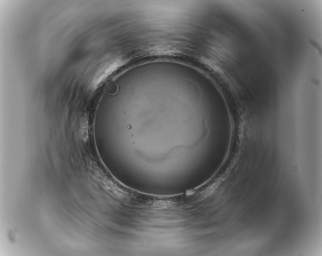 X0000103271306200808291231