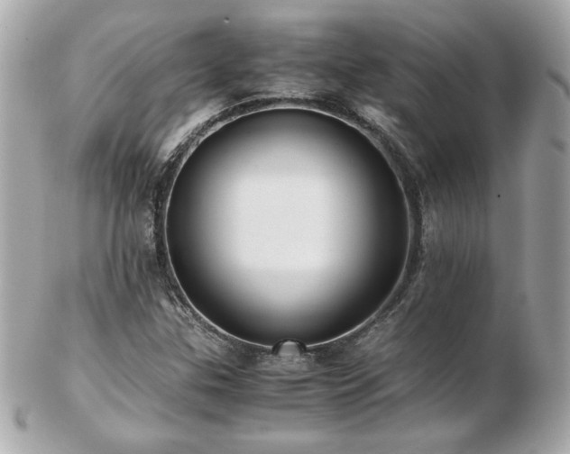 X0000103271307200808291231