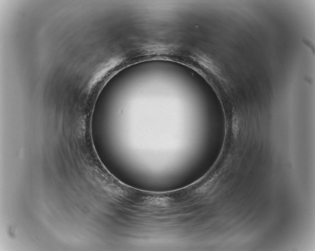 X0000103271309200808291231