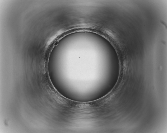 X0000103271310200808291231