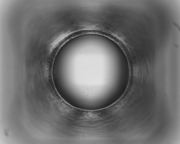 X0000103271311200808291231