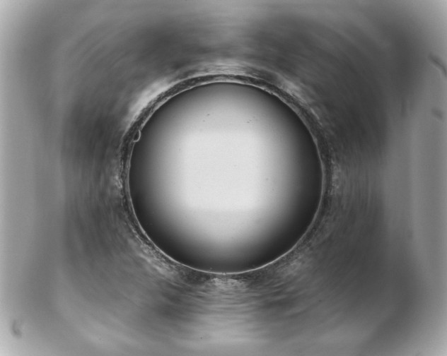 X0000103271312200808291231