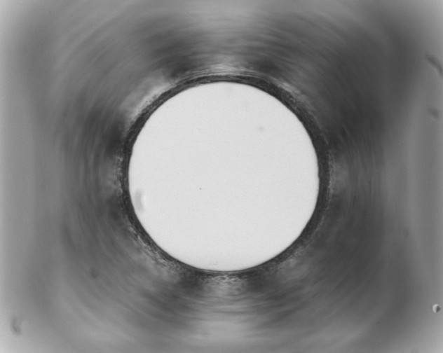 X0000103271314200808291231