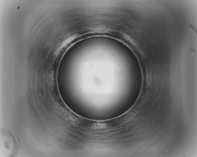 X0000103271315200808291231