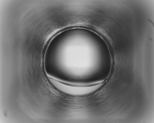 X0000103271316200808291231