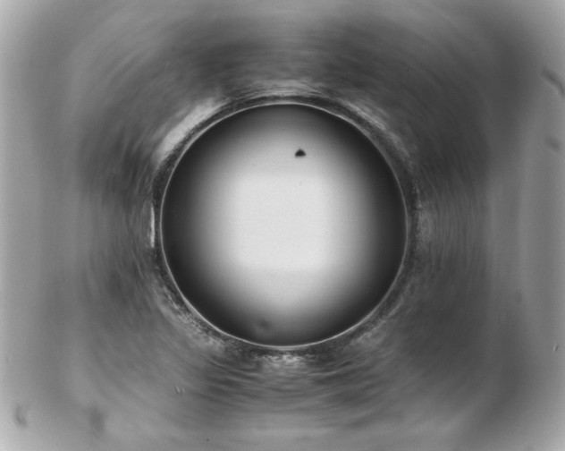 X0000103271317200808291231