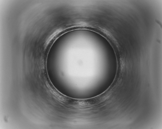 X0000103271318200808291231