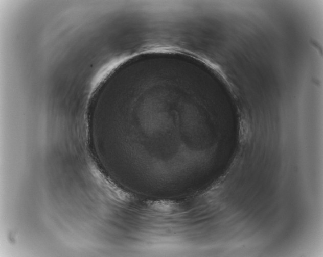 X0000103271319200808291231