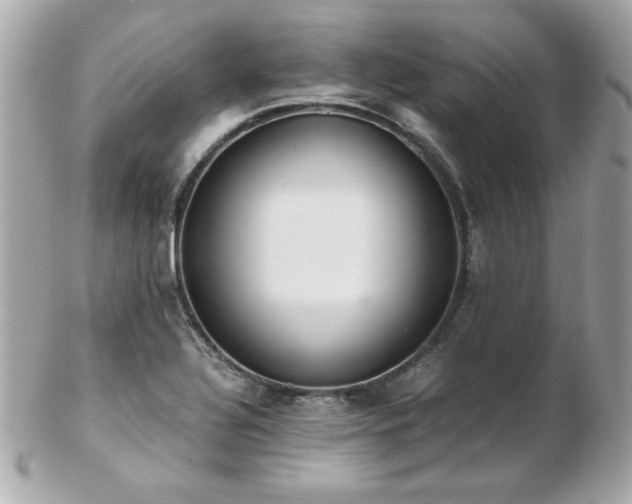 X0000103271320200808291231