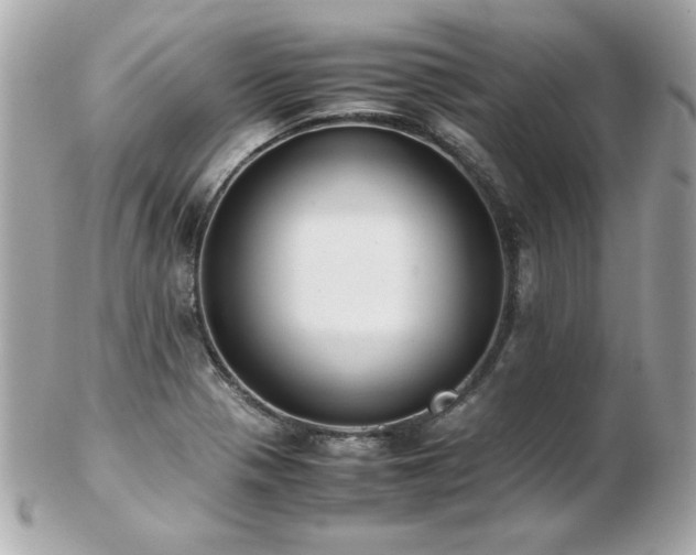 X0000103271321200808291231