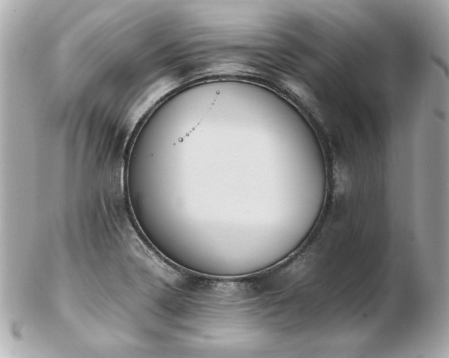 X0000103271322200808291231