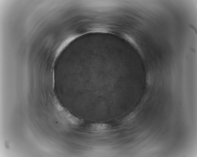 X0000103271323200808291231