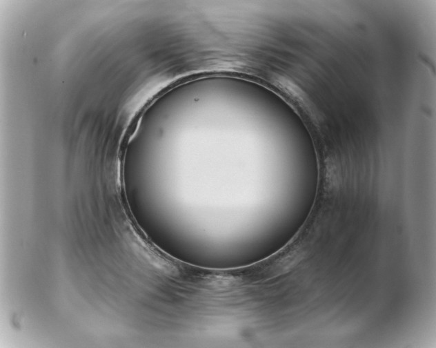 X0000103271324200808291231