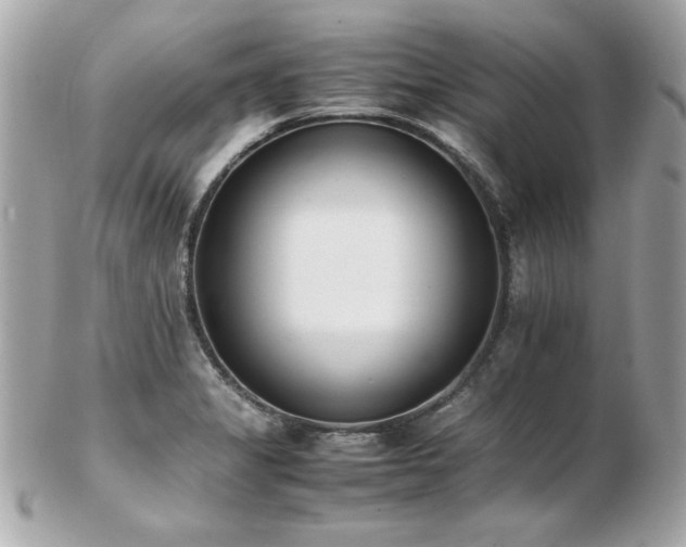 X0000103271325200808291231